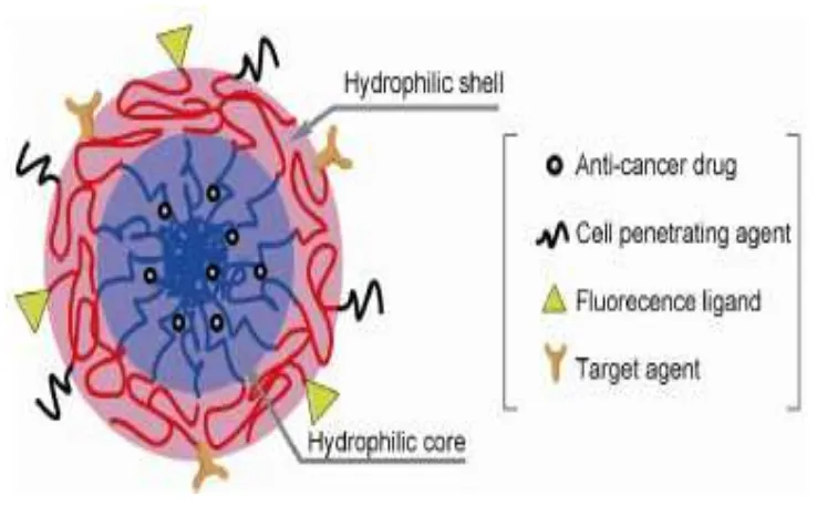 Figure 7: Structure of polymeric nanoparticle  