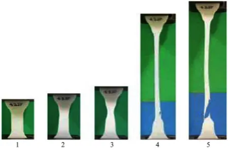 Figure 3. Profile of the plain HDPE sample during characteristic stages of the tensile test