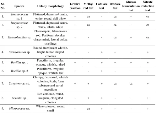 Table 1. Morphological and biochemical characteristics of bacterial isolates in the collected soil samples of augusta Abroma L