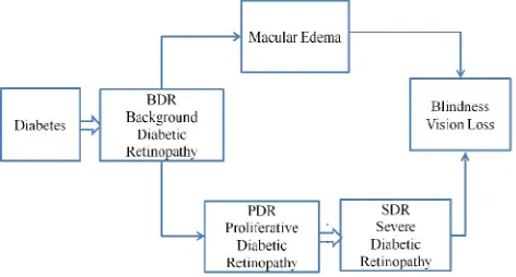 Fig 1 Classification of diabetic retinopathy  