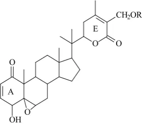 Fig. 5. Structures of withasteroid bioactives of WSE. 