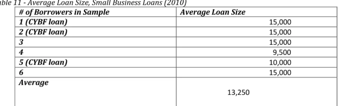 Table 11 - Average Loan Size, Small Business Loans (2010) 