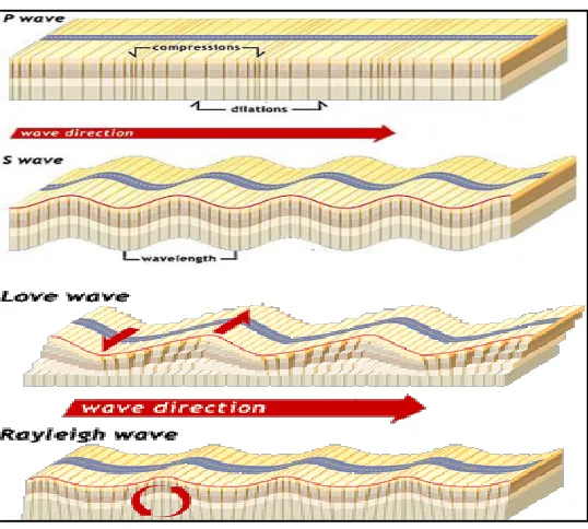 Figure 2.2: Seismic wave front and seismic ray 