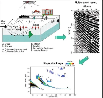 Figure 2.4: An illustration of different types of waves in MASW method (Penumadu and Park, 2005) 