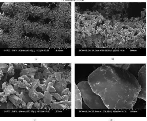 Figure 10. SEM analysis of strut morphology. Untreated scaffold at various magnifications, (a) X30, (c) X100, (e) X 250, (g) X 1000