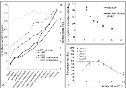Figure 3. A. Relationship between developmental stages and time (hours of development)