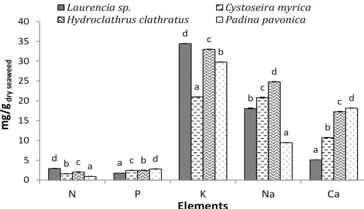 Figure 3. Elemental composition of marine algal species.within the column by different letters are significantly different at P < 0.05