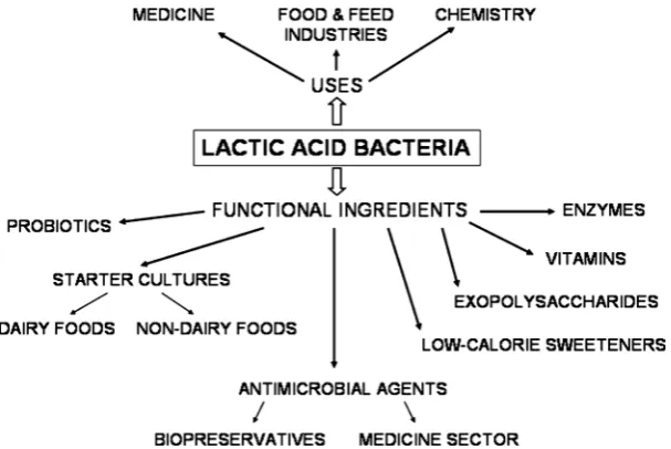 Figure 1. uses and functional ingredients of LAB [22]