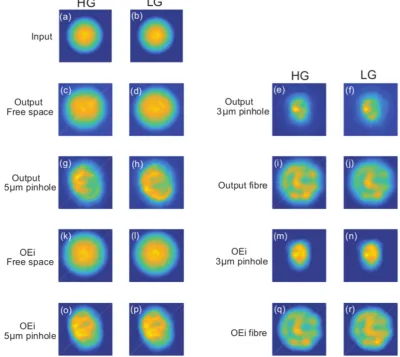 Figure 3. Numerical simulation of propagation of the ODoF. Logarithmic plot of the density in propagation plane (a) and in the output transversal plane (b)