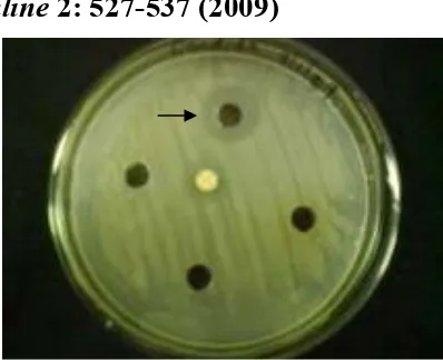 Table.2 Classificaion and identification of the isolate by International Streptomyces Project (ISP) key  
