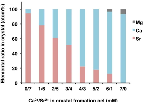 Figure 6. Elemental ratio in mineralized thin film and biominerals formed in G. thermoglucosidasius biomass on agar gel containing different Ca2+/Sr2+ ratio