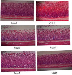Figure 1. Effect of EEPW on gastric smooth muscle. Group 1: Rat received 2% tween 80 as vehicle 