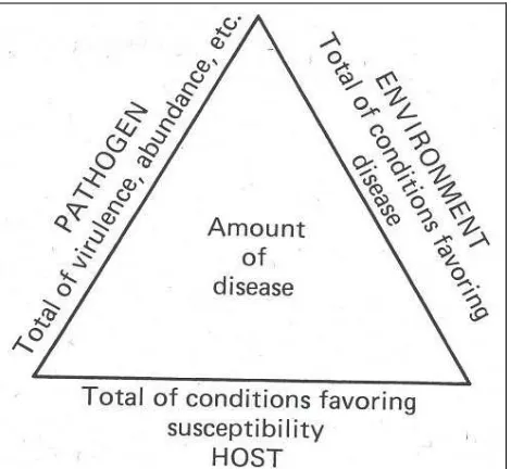 Figure 1. Disease triangle concept.  
