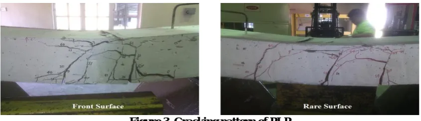 Figure 3. Cracking pattern of PLP 