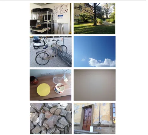 Fig. 2 Some examples of the images included in the proposed dataset