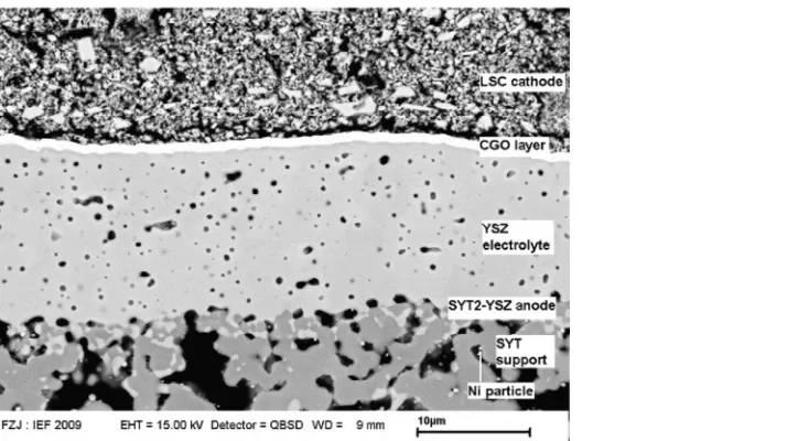 Figure 12: Cross section of YST-ASC composed of YST/YST1.10–YSZ/YSZ/PVD-CGO/LSC. Reprinted  from Electrochemistry Communications, 12, Q