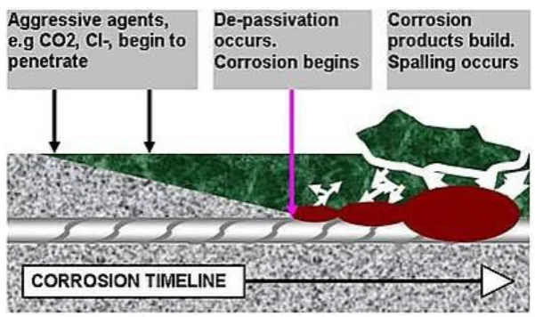 Figure 2.2: Chloride attack on reinforced concrete (Kung, 2014) 
