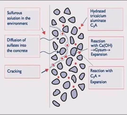 Figure 2.3: Schematic diagram for sulphate attack (China Microsilica Union, 2011) 