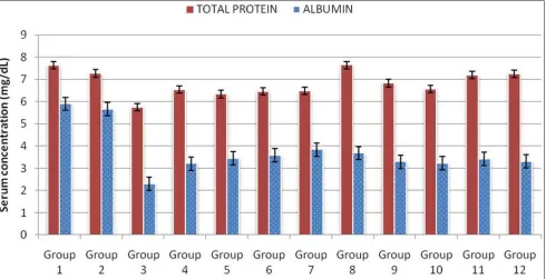 Figure 3. Serum total protein and albumin concentrations of experimental rat groups.  