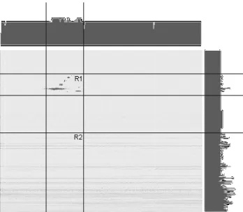 Figure 8. Section profile of a radar image 
