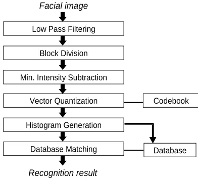 Figure 1. Face recognition process steps 