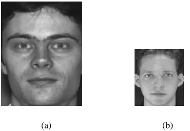Figure 5 shows the processing steps of the codebook generation. At first, we change intensity differences 
