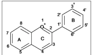 Figure 1. The structure of flavylium cation. 