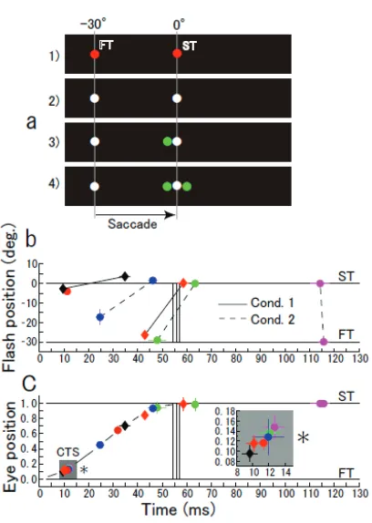 Figure 1. Subjective simultaneity of two flashes. (a) Spatial layout of two targets (FT, ST) and perceived flash stimuli specified on a black board