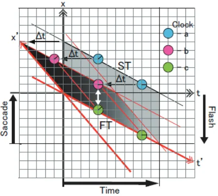 Figure 2. Schematic illustration of the space-time compres-sion based on our results. Two coordinates, (real (physical) space-time, and the second is perceptual space-time coordinates (define position (are superimposed, analogues to the Minkowski space-tim