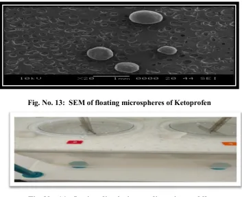 Fig. No. 16: F3- The optimized formulation of Ketoprofen floating microspheres 