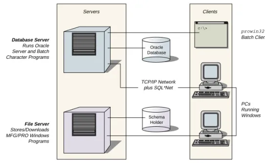 Figure 1.1 shows the types of connections you can have in a client/server  environment