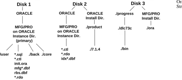 Figure 1.2 shows an example of an Oracle directory structure.