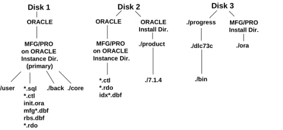 Fig. 1.1 Oracle Disk  Structure Example MFG/PRO  on ORACLE  Instance Dir. (primary)ORACLEDisk 1 ./progress MFG/PROInstall Dir../oraORACLEDisk 2Disk 3MFG/PRO on ORACLE Instance Dir