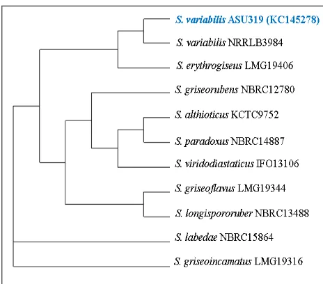 Figure 5. I.R. spectrum of the immunosuppressive antibiotic produced by Streptomyces variabilis ASU319