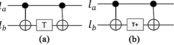 Figure 4. Two forms of CTC-structure. (a) CTC(T) structure; (b) CTC (T+) structure. 