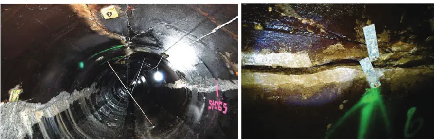 FIGURE 1. The landslide that affected the headrace tunnel [6]