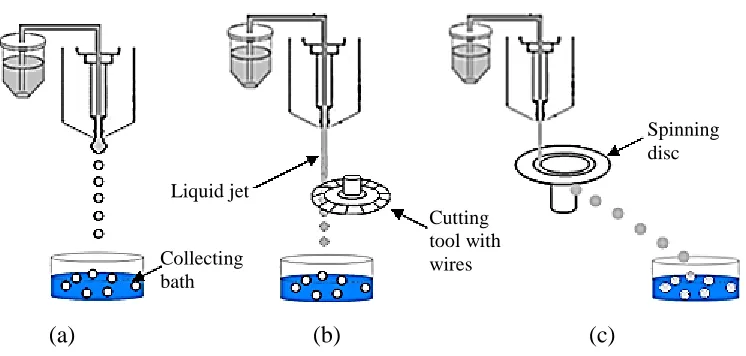 Figure 2.8: Schematic diagram of different microencapsulation processes in forming microcapsules: (a) Extrusion, (b) Jet cutter and (c) Spinning disc [143] 