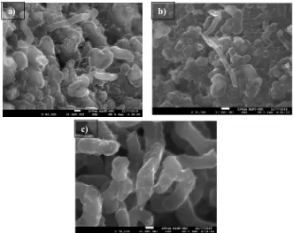 Figure 2: SEM micrograph of carbon structures synthesized from HDPE at different CVD temperature a) 700ºC, b) 800ºC and c) 900ºC