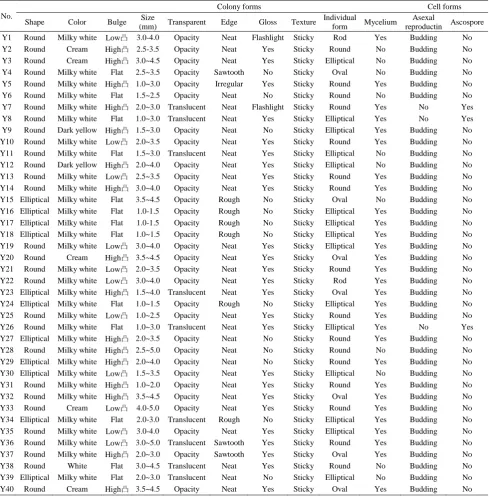 Table 2. The results of the yeasts Colony and Cellular shape 