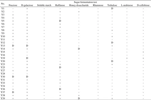 Table 3 (A). The results of the yeasts biochemistry appraisal 