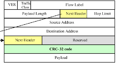 Figure 2: IPv6 Packet with CRC Extension Header 