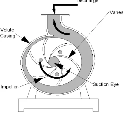 Fig Liquid flow path inside a centrifugal pump 