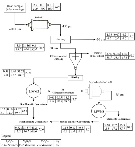 Fig. 7. Schematic diagram of gravity - LIWMS combination test on the head sample 