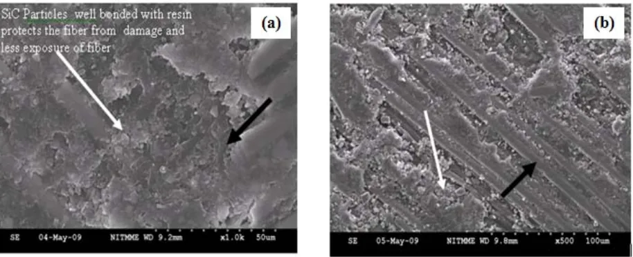 Fig. 11. SEM pictures of worn surface of SiC filled GE samples abraded against 600 grit SiC paper at, (a) 25 m and (b) 100 m 