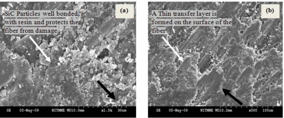 Fig. 12. SEM pictures of worn surface of GE samples abraded against 1000 grit SiC paper at, (a) 25 m and (b) 100 m 