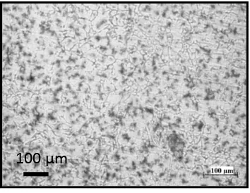 Fig. 10. Microstructures of the Fusion Zone of the Fe-P-C alloy welded (transverse section) using Fe-P-C filler etched with 2% Nital