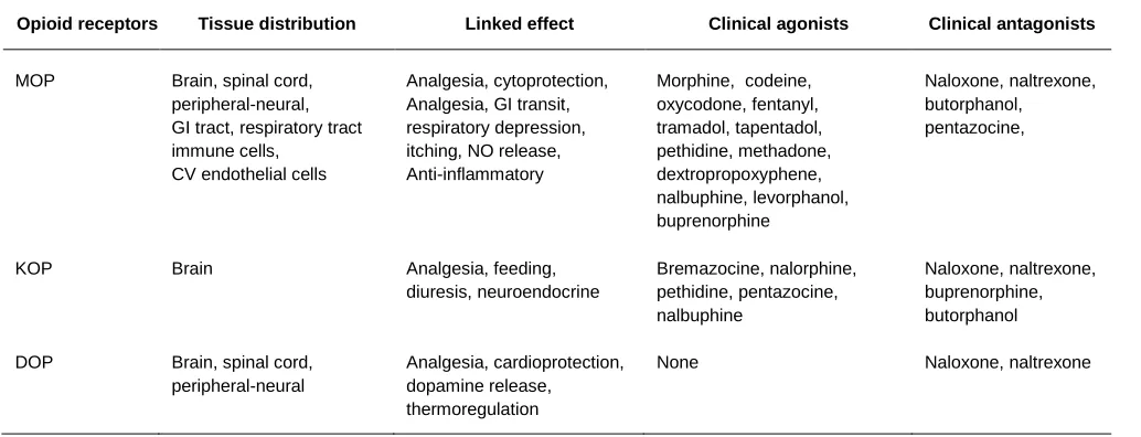Table 1:  Indicative tissue distribution of the three classical opioid receptor types (mu; MOP, delta; DOP, kappa; KOP), the respective effect upon activation and the relevant clinically-available opioid ligands 