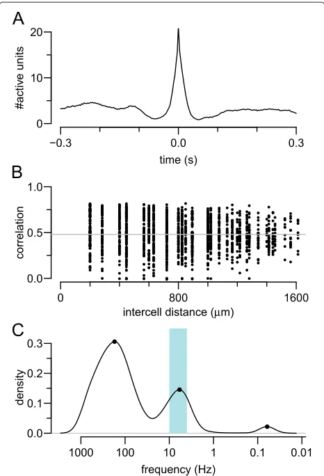 Figure 2 Examples of features calculated for each recording. Thehippocampal recording from 14 DIV in Figure 1 was used as anexample for this figure