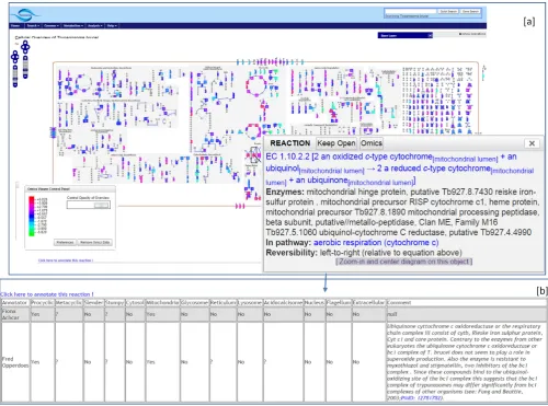 Figure 2. Proteomics data loaded in TrypanoCyc using the cellular overview tool. (squares correspond to reactions with associated proteomics values