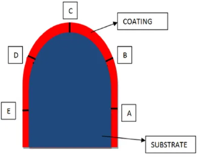 Figure 3: Blade sectioning and numbering specimen 